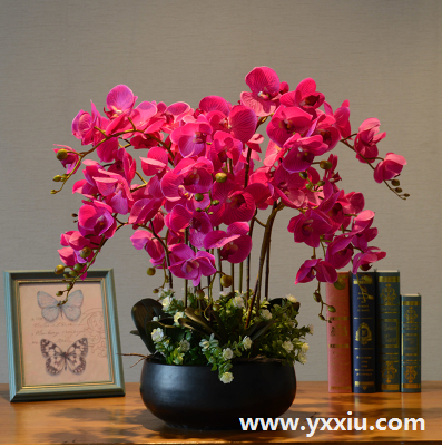 恭喜乔迁之礼 恭喜乔迁之礼